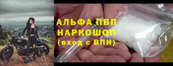 крисы Надым