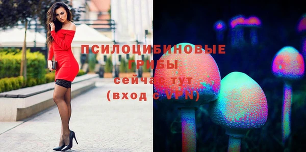 крисы Надым