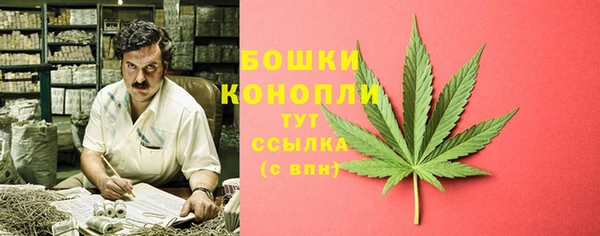крисы Надым